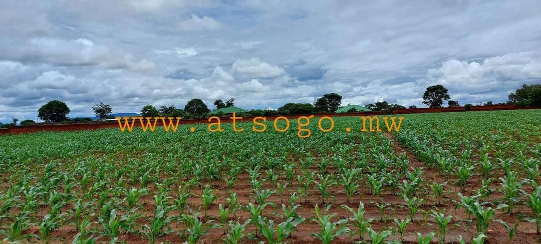 Atsogo Estate Agent Atsogo Estate Agent